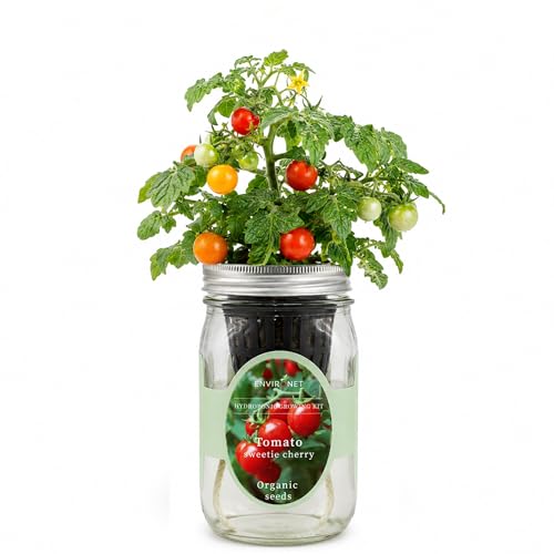 Hydroponic Tomato Growing Kit, Self-Watering Mason Jar Tomato Garden Starter Kit Indoor, Grow Tomatoes from Organic Seeds (Sweetie Cherry Tomato) - color: Sweetie Cherry Tomato