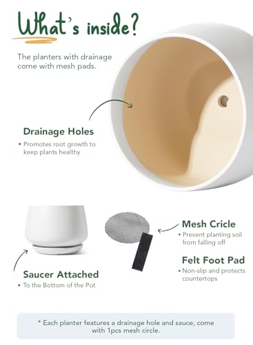 LE TAUCI Ceramic Planter, 12 Inch, Large Plant Pot, Indoor Plant Pot, White - color: White, size: 12"
