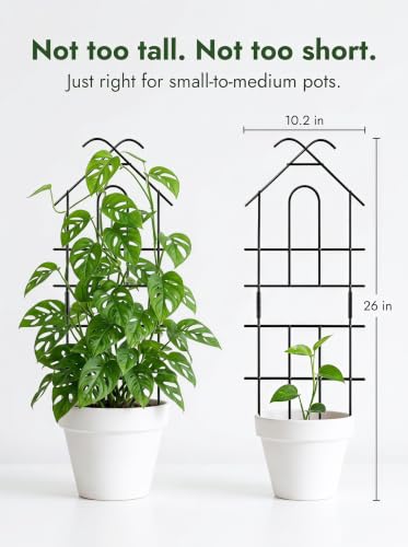26" Trellis for Potted Plants Indoor, Sturdy Plant Support, 2 PCS