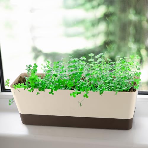 Window Box Planter with Tray, 12" Rectangle Plant Pot, Pack of 2 (Beige)
