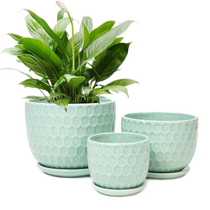 Ceramic Flower Pots with Drainage Hole and Saucer, Modern Round Succulent Planters with Honeycomb Inspired Texture Design, Small to Medium Sized, Set of 3, Green - size: 6.4"+5.2"+3.7" - Set of 3, style: Honeycomb