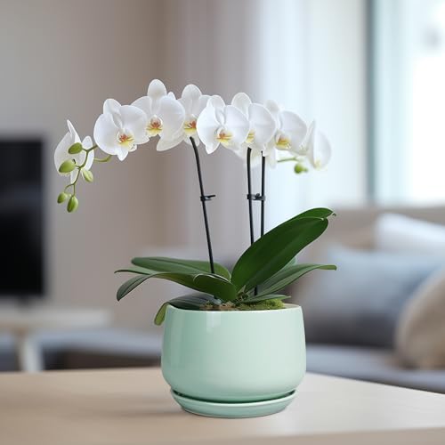 G EPGardening Ceramic Plant Pots, 6 Inch Pot for Plants, Green - color: Mint Green, size: 5 Inch