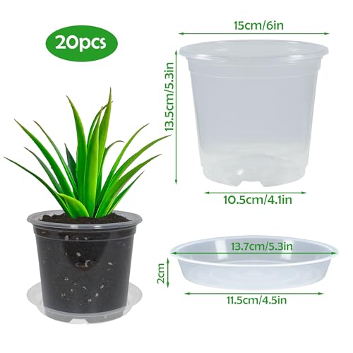 20 Pack 6 Inch Clear Nursery Pots with Drainage and 20 Pack Plant Saucers, 0.5 Gallon Plant Pots for Plants Potting Containers Half Gallon Plants Seeding Starter Pot (Clear, 6 Inch) - color: Clear, size: 6 Inch