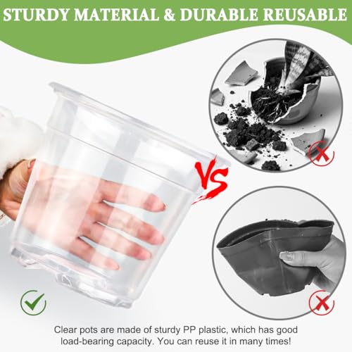 RooTrimmer 60 Pack 6 Inch Clear Nursery Pots for Plants, Flexible Plastic Plant Pots with Drainage Holes, Transparent Plant Starter Pots for Seedlings, Vegetable, Succulents, Flowers - size: 6Inch 60P