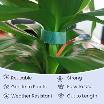 Reusable Plant Ties for Climbing Plants Hook and Loop Green Nylon Plant Straps Tape Double Sided Garden Tie Strap Reusable Adjustable Gentle Support for Vines, Trellis, Tomato (1/2 Inch x 16.4 ft) - size: 1/2 Inch x 16 Feet