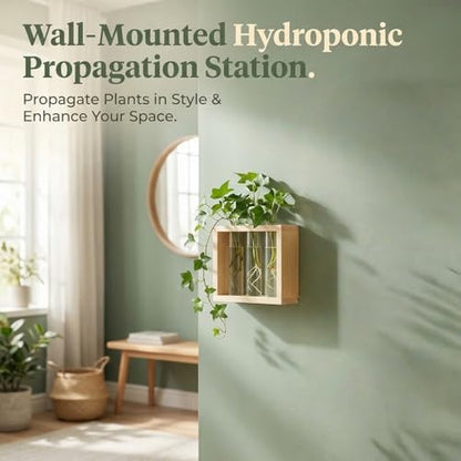 3-Tube Plant Propagation Station, Wall-Mounted Terrarium with Propagation Tubes – Ideal for Indoor Plant Propagation in Living Rooms, Bedrooms & Offices (Uses Test Tubes for Plants)