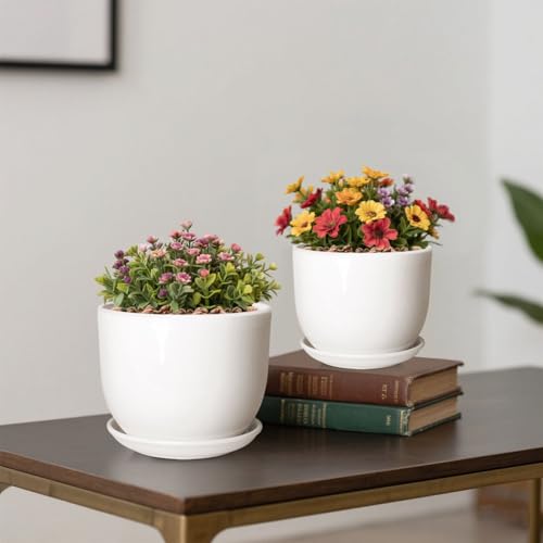 6.7 + 5.5 Inch Ceramic Plant Pot with Drainage and Saucer - size: 6.7 + 5.5 Inch 2 Pcs