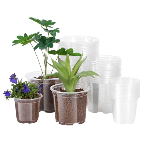 JERIA 30 Pack 6/5/4Inch Clear Nursery Pots with Drainage Holes, Clear Plant Pot for Planting, Transparent Plastic Plant Pots,Durable Seed Starting Pot for Succulents - size: 4/5/6Inch-30Pack