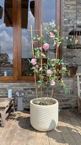 Natural BambooTrellis, 4Feet,3Pack,GUANGYE,Fan-Shaped Plant Support Trellis - style: 4Feet,3Pack