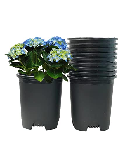 5 Gallon 10-Pack Nursery Pot Black Plastic Planters with Drainage for Outdoor Indoor Large Plants Trees - color: Black, size: 10-Pack 5 Gal