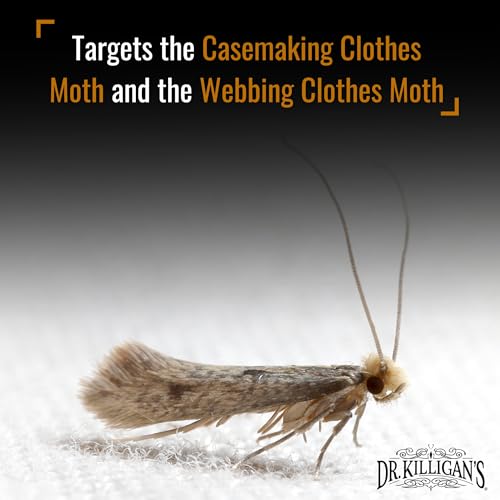 Dr. Killigan's Premium Clothing Moth Traps with Pheromones (White, 6 Traps) - color: White