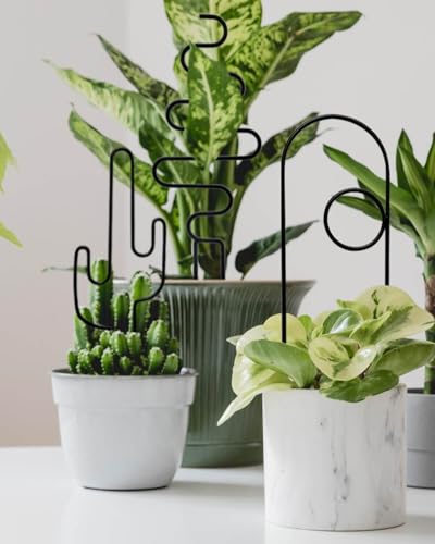 Black Small Plant Trellis for Climbing Plants Indoor, 13.8 Inch Trellis