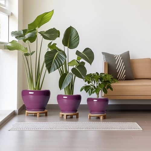 10+8+6 Inch Ceramic Plant Pots, Ceramic Planter for Indoor Outdoor Plants, Round Planter with Drainage Holes and Saucers, Indoor Flower Pots, Room Decor, Housewarming Gift, Set of 3, Purple - color: Purple