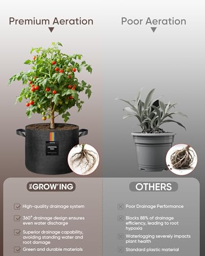 The Growing 5 Pack 3 Gallon Fabric Grow Bags，Thickened Aeration Nonwoven Fabric Plant Pots with Durable Handles,Heavy Duty 300G Planter Pot for Tomato, Fruits, Vegetables and Flowers, Black