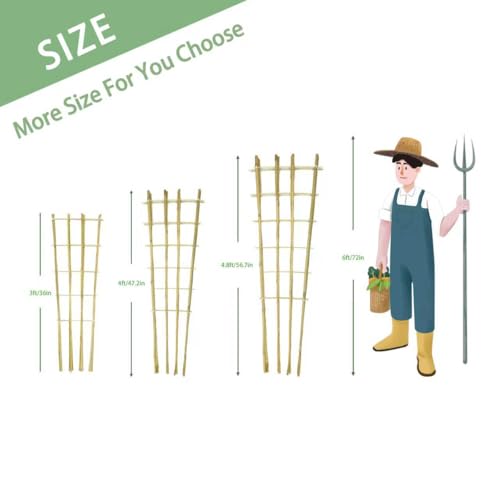 Natural BambooTrellis,4.8Feet,3Pack,GUANGYE,Fan-Shaped Plant SupportTrellis - style: 4.8Feet,3Pack