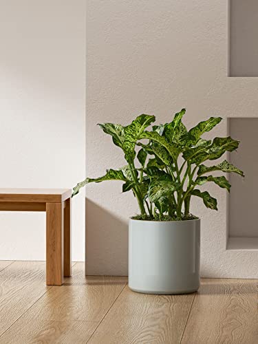LE TAUCI 12 Inch Pot for Plants, Ceramic Indoor Planter, Mist Gray - color: Mist Gray