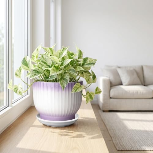 8 Inch Ceramic Plant Pot,Purple + White - color: Purple + White, size: 8 Inch(1 PCS)