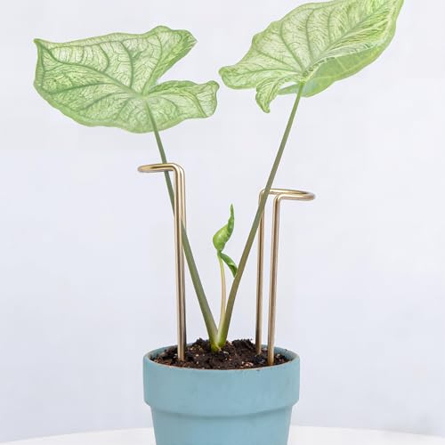 8.7 Inch Indoor Plant Trellis 10 Pack Small Gold Plant Supports - color: Gold, size: 8.7 Inch H