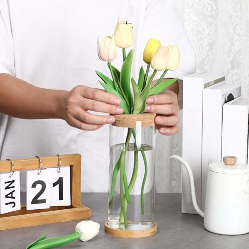 Maxcheck 3 Pcs 3 Sizes Plant Propagation Station Separated Glass Plant Terrarium Water Hydroponic Planter Holder with Lid and Wooden Stand Propagation Vase Pot for Home Indoor Office(Various Sizes) - size: Various Sizes