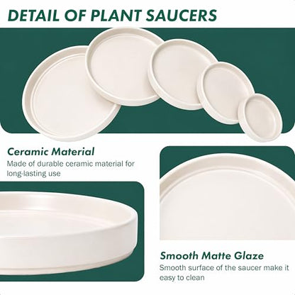 D'vine Dev Ceramic Plant Saucer/Drainage Tray, 10.4 in, Oatmeal, 97-T-D-5 - color: Oatmeal, size: 10.4" (1 Pack)