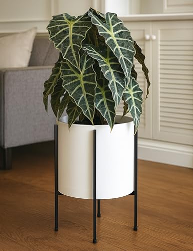 D'vine Dev Plastic Planter Pot with Metal Stand, White, 12 in, 55-D-A-3 - color: White, size: 12 Inch