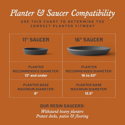 ARBORA 11" Plant Saucer for Planters with 8 Inch Base or Less - size: 11"