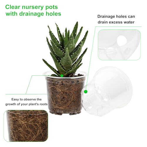 JERIA 30 Pack 6/5/4Inch Clear Nursery Pots with Drainage Holes, Clear Plant Pot for Planting, Transparent Plastic Plant Pots,Durable Seed Starting Pot for Succulents - size: 4/5/6Inch-30Pack