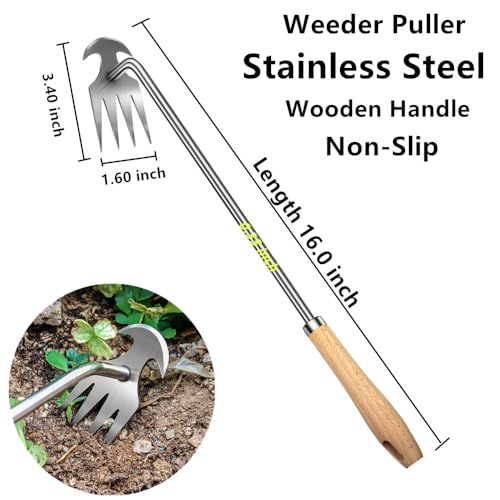 2pack 16inch Weed Puller Tool,Weeding Tool,4 Teeth Stainless Steel Hand Weeder for Effortless Weeding,Portable Uprooting Tool for Vegetable Gardening,Backyard,Farm (Wooden Handle&Stainless Steel)