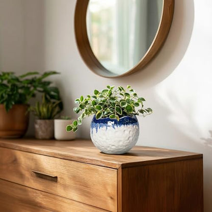 4 Inch Plant Pots, Ceramic Pots for Plants, Beige-Blue - color: Beige-blue, size: 4.5 Inch