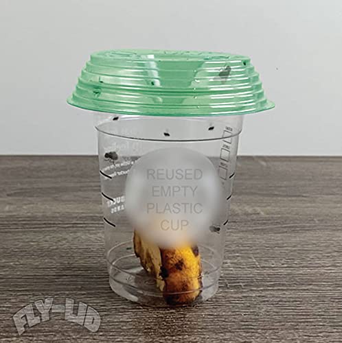Billy-Bob, Fly Lid (10 Pack) - Turn Almost Any Disposable Cup into a Fly Trap. Indoor and Outdoor use.