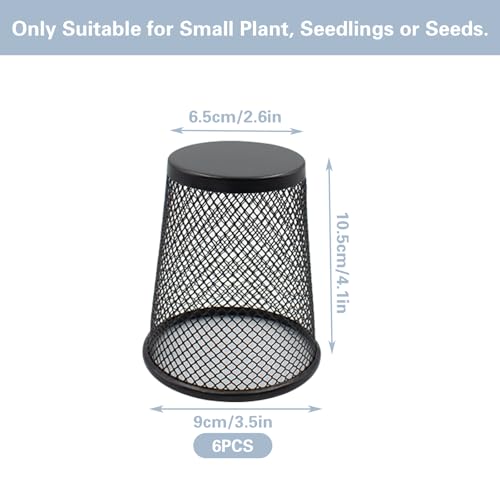 6 PCS Small Chicken Wire Plant Covers for Seedling, 3.5 Inch Mini Garden Cloches Metal Netting Protectors for Keeping Chicken Squirrels Birds Out, Only Suitable for Very Small Seedlings or Seeds