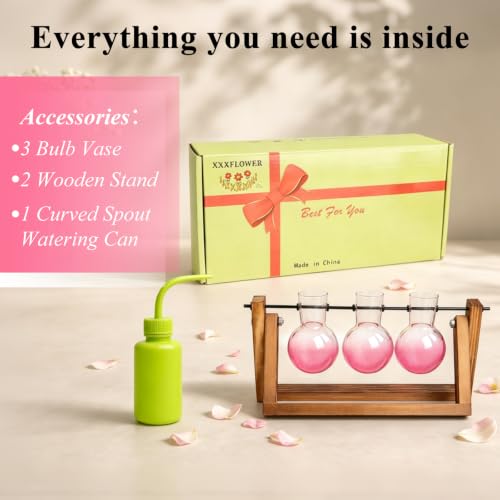 XXXFLOWER Plant Terrarium Kit with Wooden Stand 3 Gradient Pink Bulb Vases - color: Pink