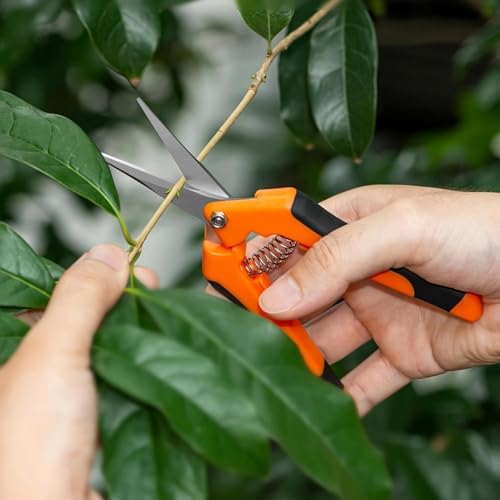 1PC Pruning Shears, Titanium Coated Garden Trimming Scissors with Coil Spring, Precision Gardening Hand Pruning Snips for Bonsai, Flowers, Plants Cutting (orange,straight blade) - color: Orange