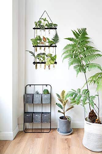 Mkono Plant Propagation Station, 3 Tier Black Wall Hanging Vase Test Tubes - color: Black, size: Medium