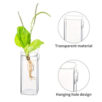 Glass Wall Mounted Planters 6 Pcs Hanging Flower Vase Glass Tubes