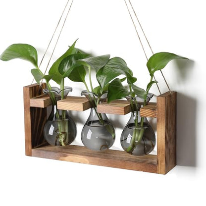 Plant Propagation Station Plant Terrarium Unique Birthday Gifts for Women - color: Gray