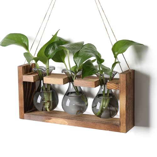 Plant Propagation Station Plant Terrarium Unique Birthday Gifts for Women - color: Gray