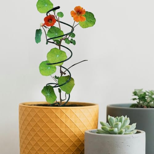 4Pack Spiral Tomato Stakes Plant Trellis ，Indoor Metal Wire Garden Trellis ，Small Climbing Leaf Shape Trellis for Garden Potted Plant - color: green