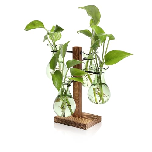 Plants Propagation Stations Bulb Glass Propagation Birthday Gift for Women - color: Green