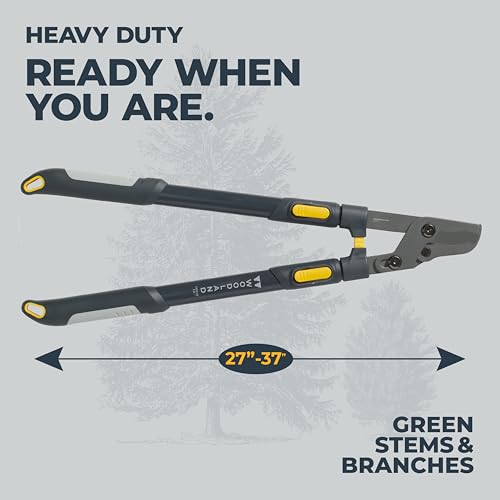 Woodland Tools Heavy Duty Extendable Lopper – 25 to 37 Inch Telescoping Branch Cutter with Lever-Action Bypass Blade – Manual Tree Limb Cutter for Thick Branches and Overhead Trimming - style: Heavy Duty Extendable Lopper