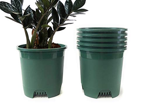 Cotta Planters 2 Gallon Green Nursery Pot Plastic 6-Pack Planter Pots Pot Liners for Outdoor Indoor Plants Gardening Flower Pots with Drainage Holes - color: Green, size: 6-Pack 2 Gal