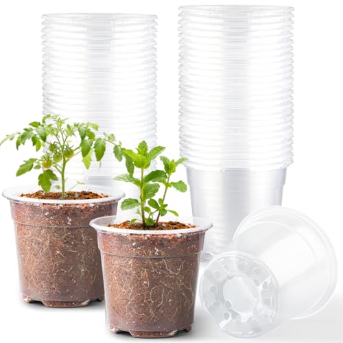 RooTrimmer 60 Pack 6 Inch Clear Nursery Pots for Plants, Flexible Plastic Plant Pots with Drainage Holes, Transparent Plant Starter Pots for Seedlings, Vegetable, Succulents, Flowers - size: 6Inch 60P