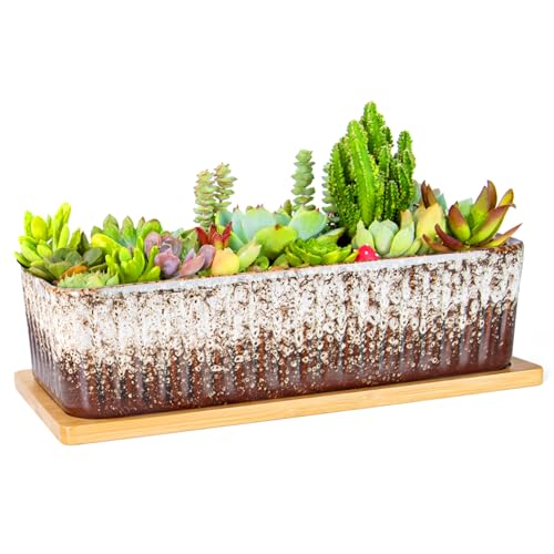 Succulent Pots, 12'' Long Rectangle Planters with Tray, Windowsill Planter - color: White