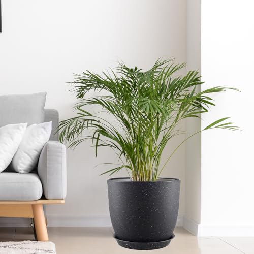 10/9/8 inch Plant Pots, 3 Pack Plastic Flower Pots Modern Flower Pots with Drainage Holes and Trays are for Indoor and Outdoor Plants, Herbs and Flowers,Black Speckles - color: Black