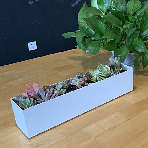 Modern 16" White Steel Trough Planter - Suitable for Indoor Use - color: 1pc White