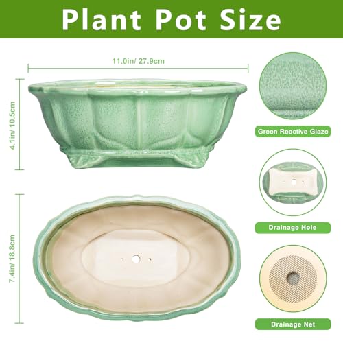 Bonsai Pots 11 Inch - Ceramic Succulent Pots with Drainage Hole, Oval Planter for Indoor Outdoor, Decorative Ceramic Flower Pot, Home Garden Room Decor, Plant Lover Gifts, Green - color: Oval Green, size: 11 Inch