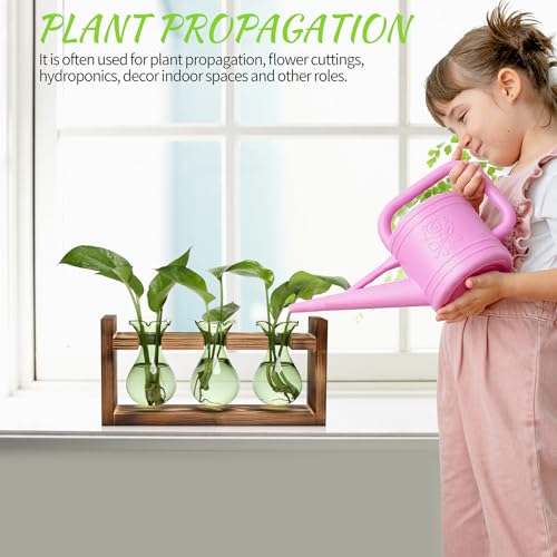 Plant Propagation Station Plant Terrarium Unique Birthday Gifts for Women - color: Green