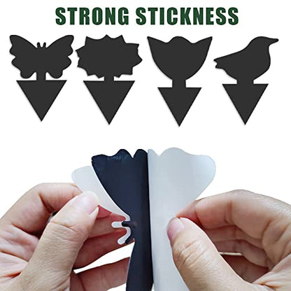36 Pack Fungus Gnat Traps for House Plants, Sticky Traps for Indoor Outdoor Use to Get Rid of Whitefly Mosquitoes Fungus Gnats Thrips Leafminer Flying Insects Protect Your Plants (Black)