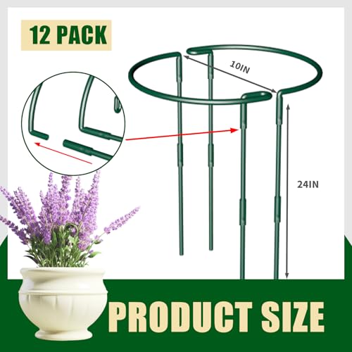 Plant Support Stakes 12 Pack 10" W x 24" H, Half Round Garden Stake, Metal Ring Border, Green Peony Cages and Supports for Tomato Hydrangea Flower Outdoor - size: 12pack 10inx24in