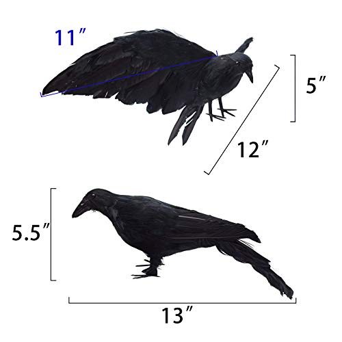 Etistta 2-Pack Realistic Crows Lifesize Extra Large Handmade Black Feathered Crow for Halloween Decorations Birds, L (13 inch+12 inch) - size: L (13in+12in)